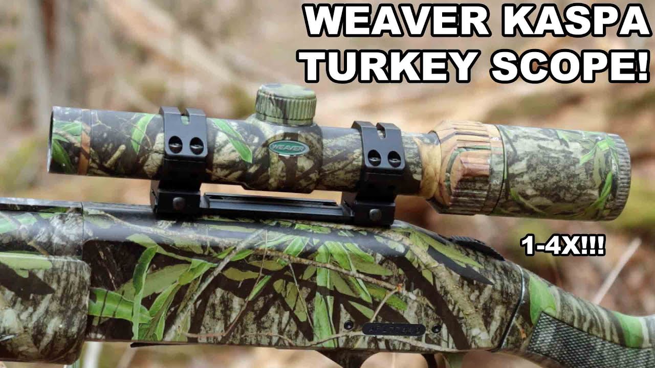 weaver kaspa turkey scope review