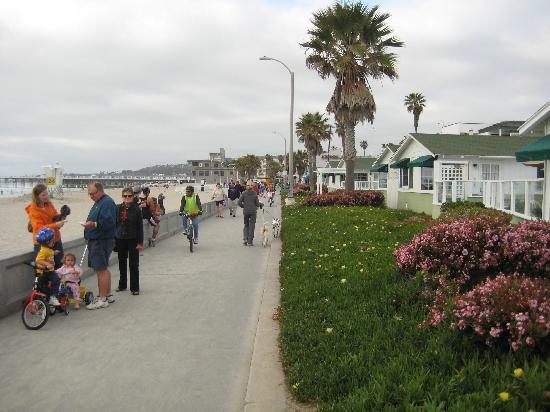 the beach cottages san diego reviews