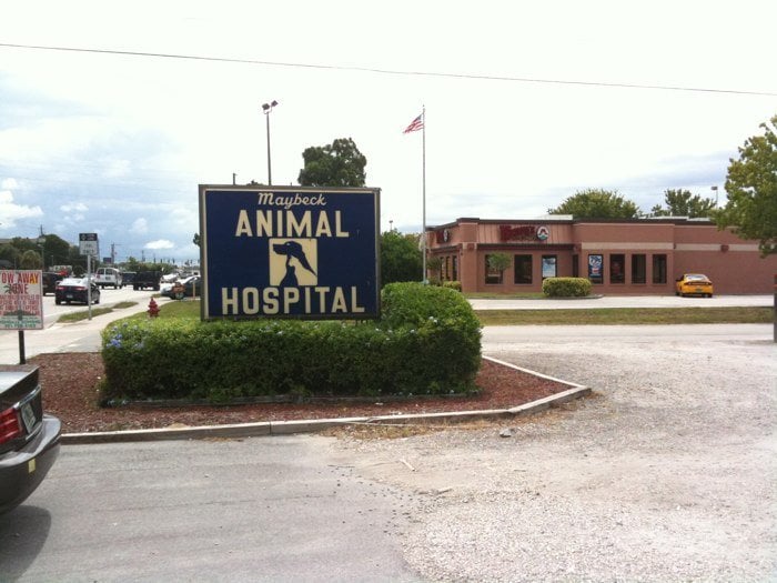 mclean animal hospital google reviews