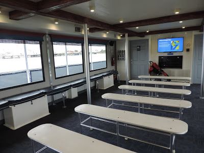 wild dolphin cruise tampa reviews