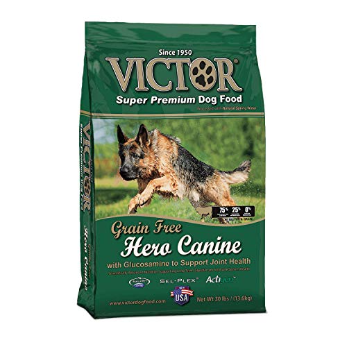 victor premium dog food reviews